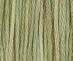 PRIVET M6C
