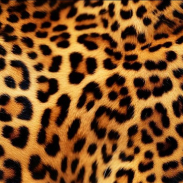 Wild Animal 4372